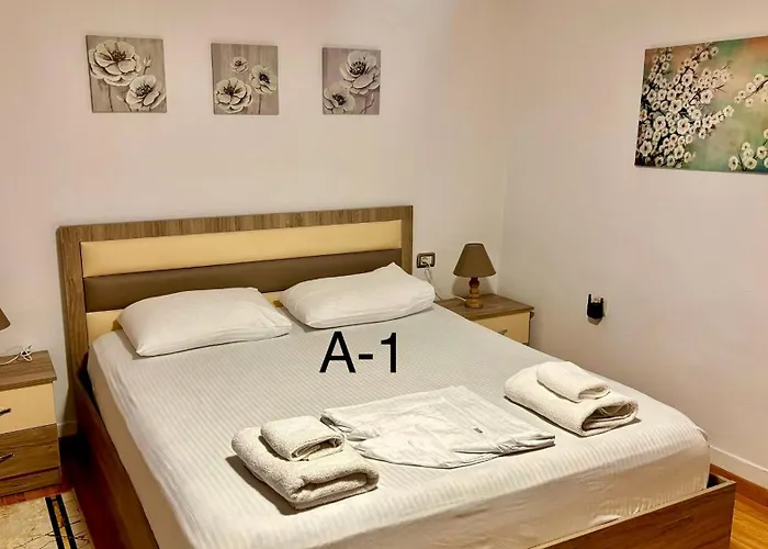 招待所 Driteza 科尔察